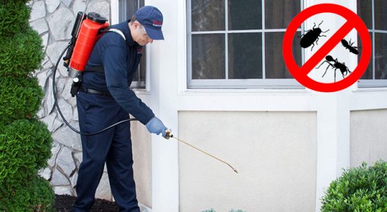 Balatçık Hamam Böceği İlaçlama böcek ilaçlama ve haşere kontrolü — ilaclama-tr.com